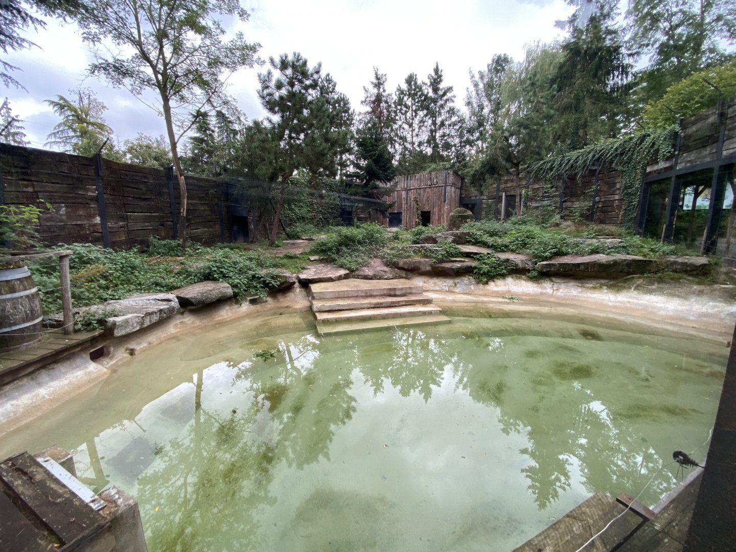 Little polar bear exhibit