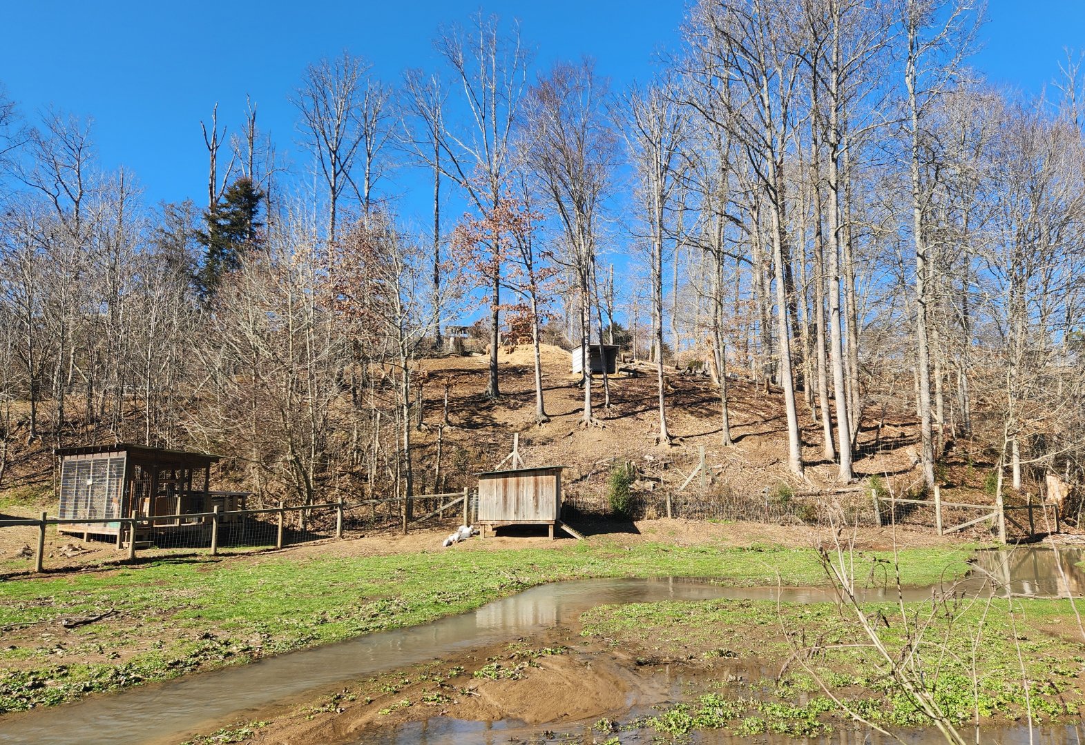 Little Ponderosa Zoo - Barbary Sheep yard (from a distance)