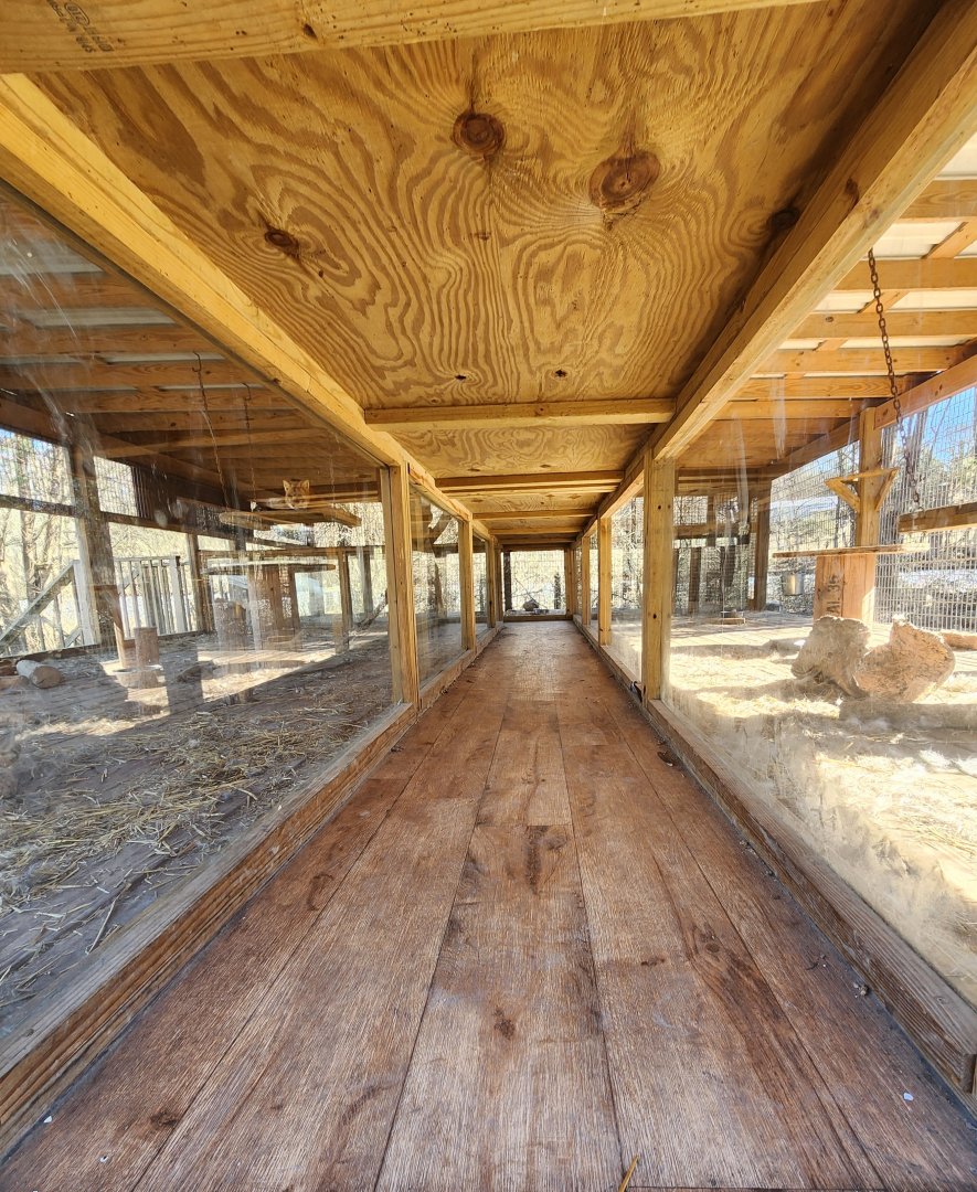 Little Ponderosa Zoo - Fox exhibit crawl space