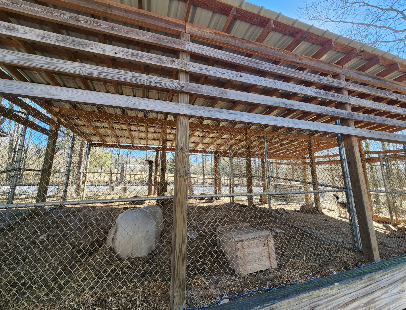 Little Ponderosa Zoo - Gray Wolf enclosure