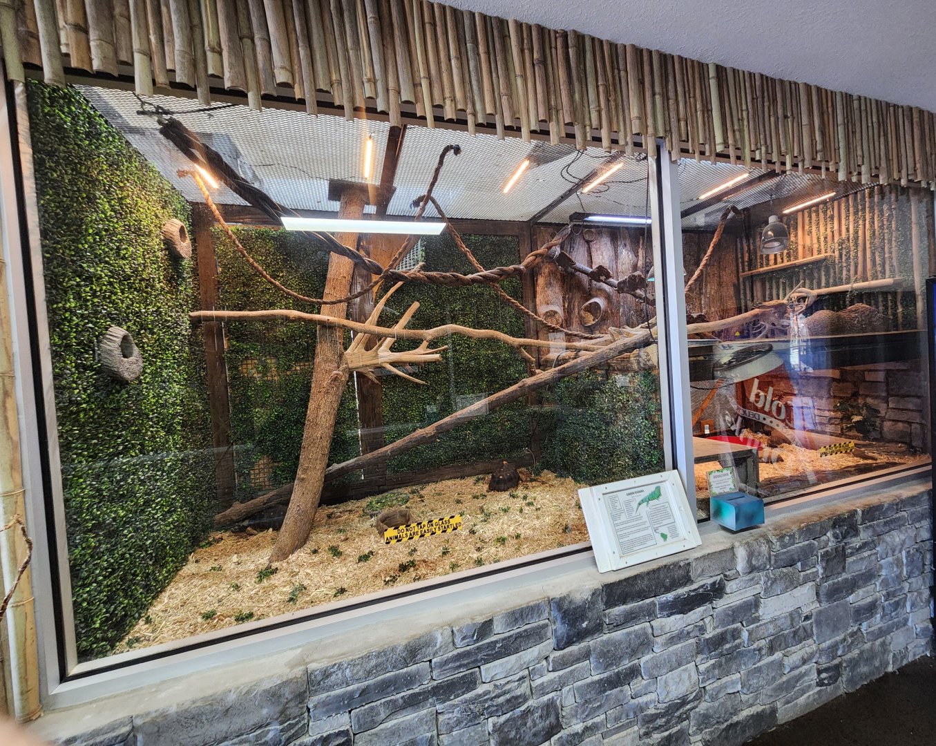 Little Ponderosa Zoo - Lizard/tortoise enclosure