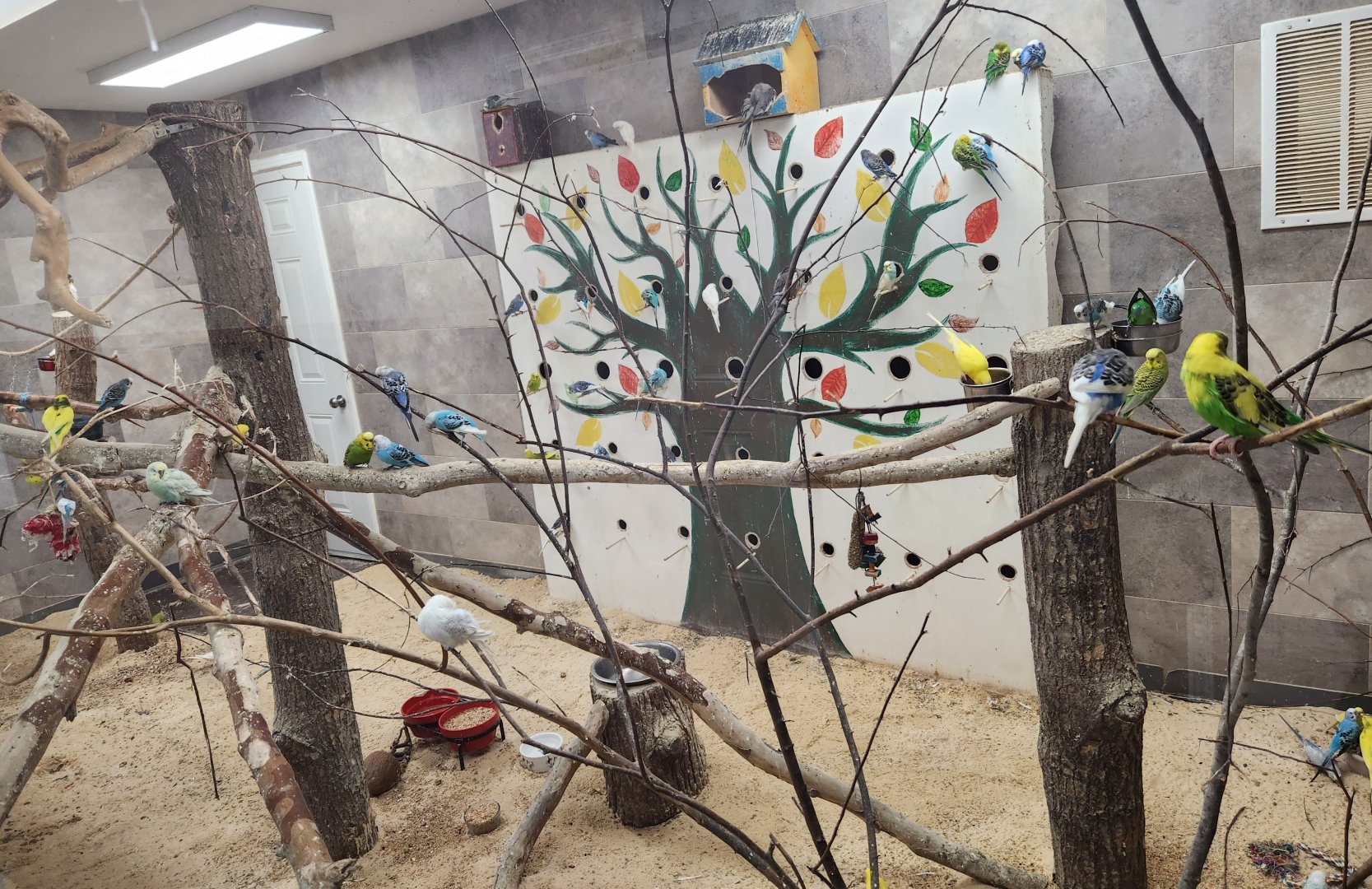 Little Ponderosa Zoo - Parrot aviary