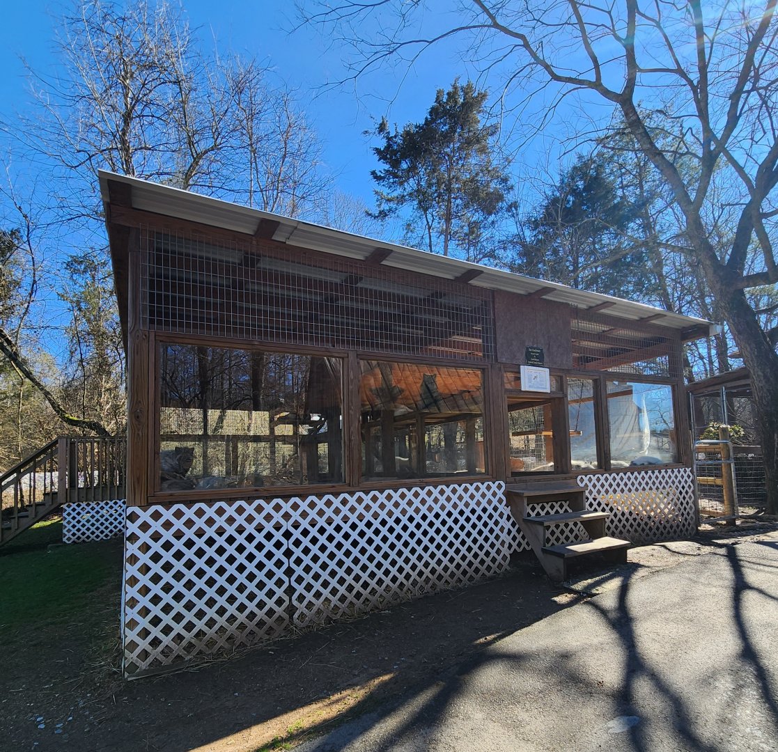 Little Ponderosa Zoo - Red Fox exhibit