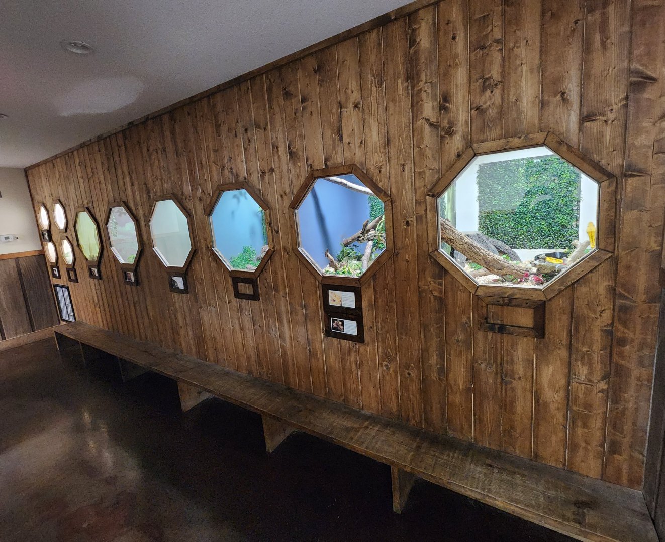 Little Ponderosa Zoo - Reptile exhibit area