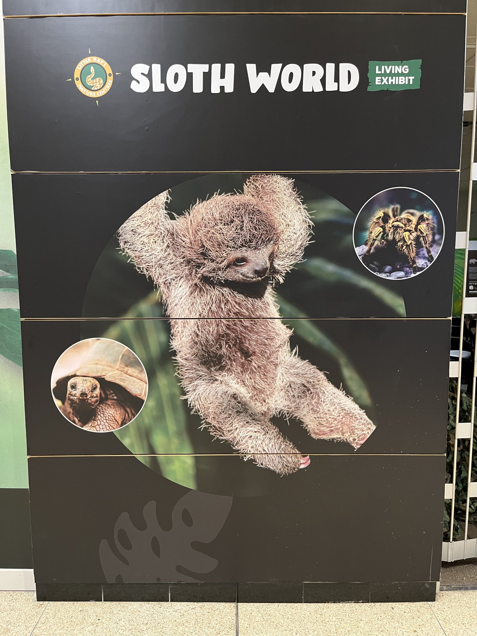 Little Ray’s Nature Centre