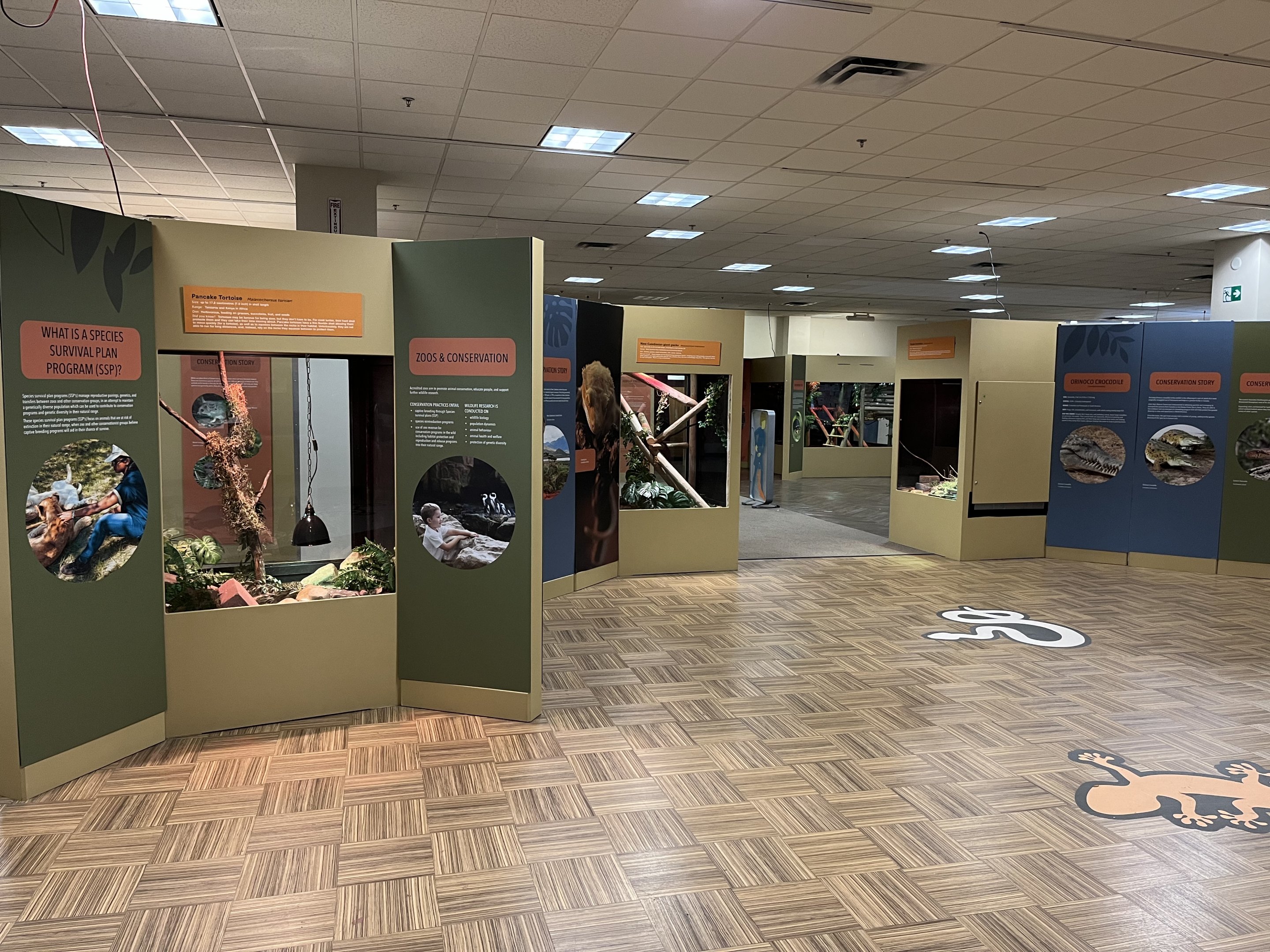 Little Ray’s Nature Centre