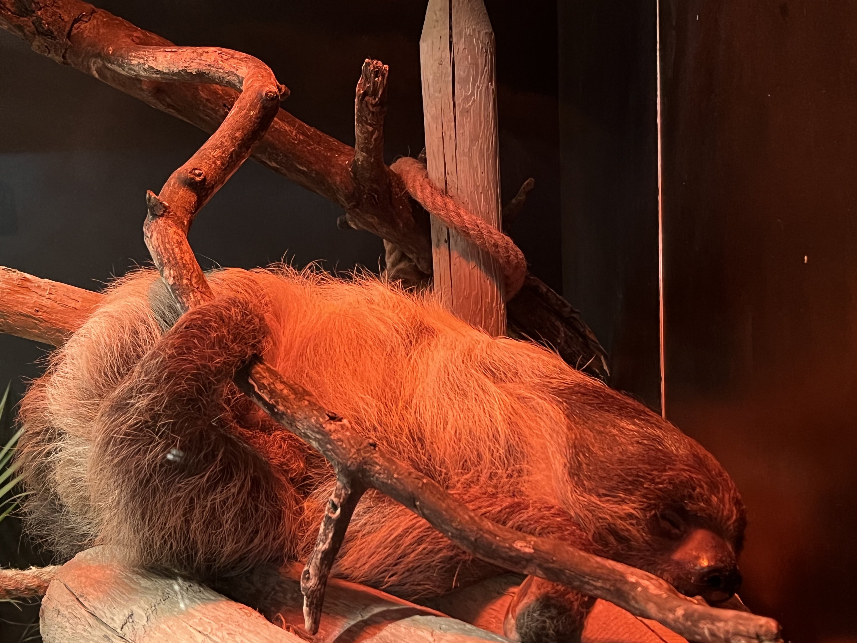 Little Ray’s Nature Centre