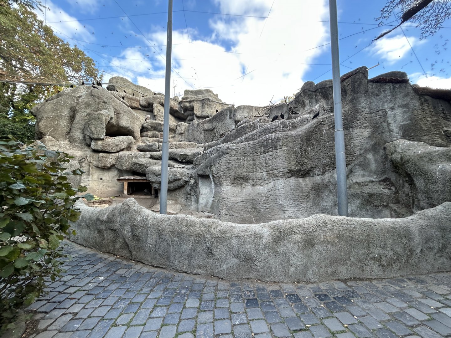 Little Rock Walkthrough Aviary