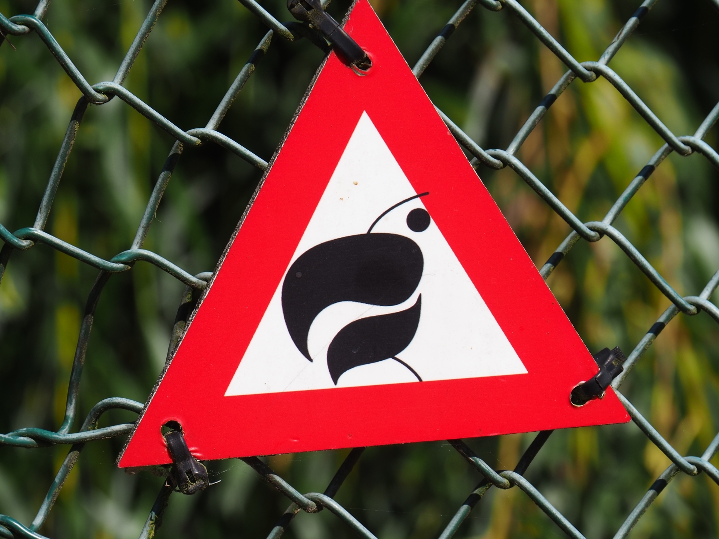 Little sign warning of beaks (Sep 2nd, 2018)