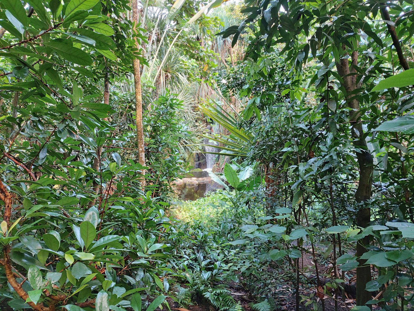 Little view on a waterfall (July 2020)