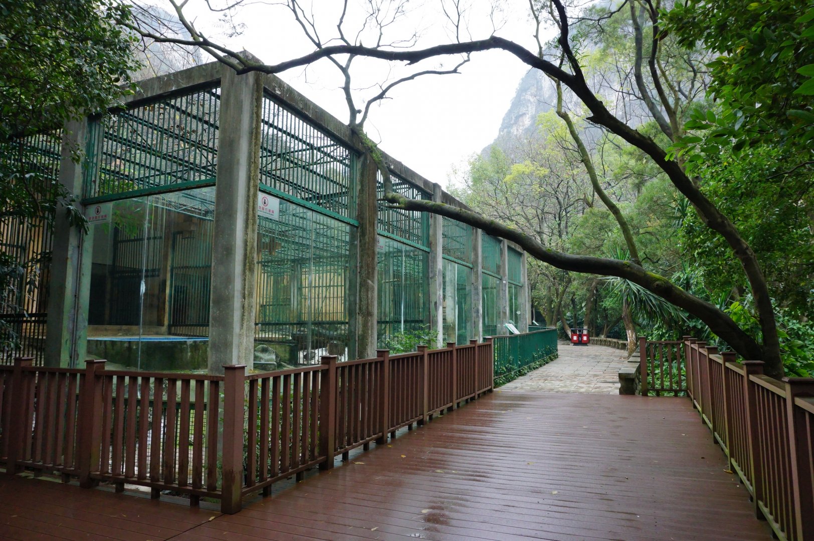 Liuzhou Zoo - carnivore exhibit