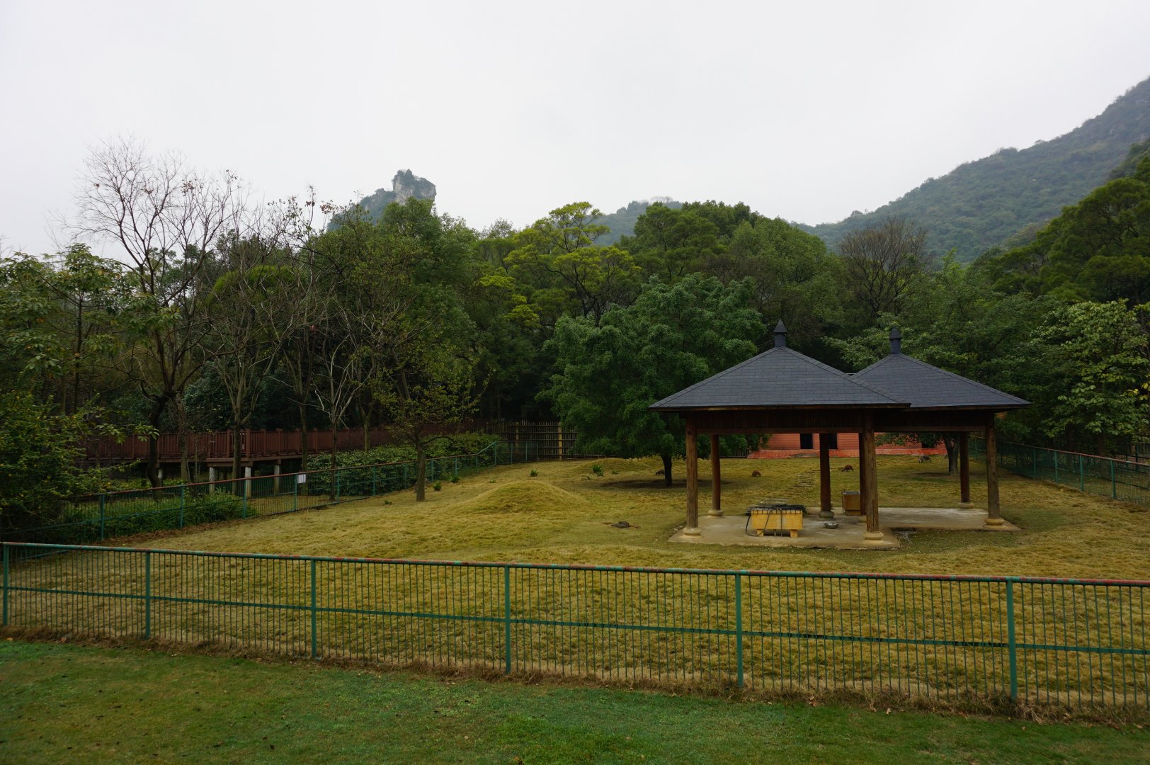 Liuzhou Zoo - kangaroo exhibit