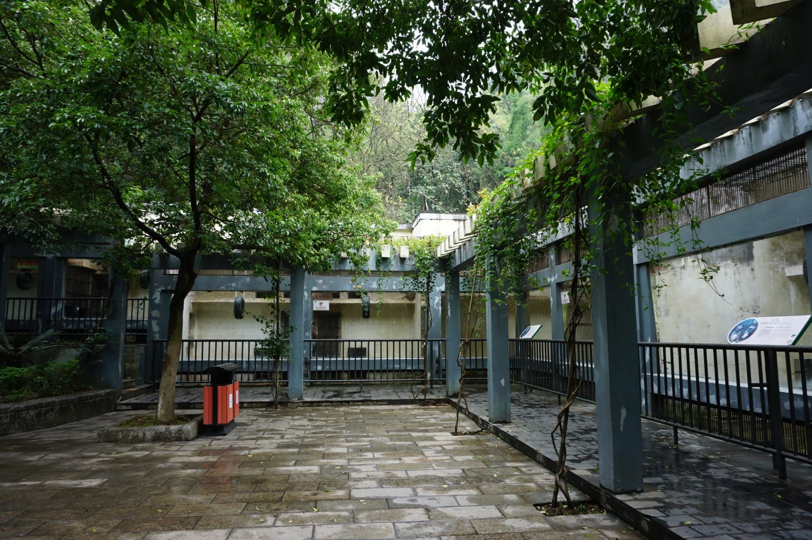 Liuzhou Zoo - Rhesus macaque exhibit