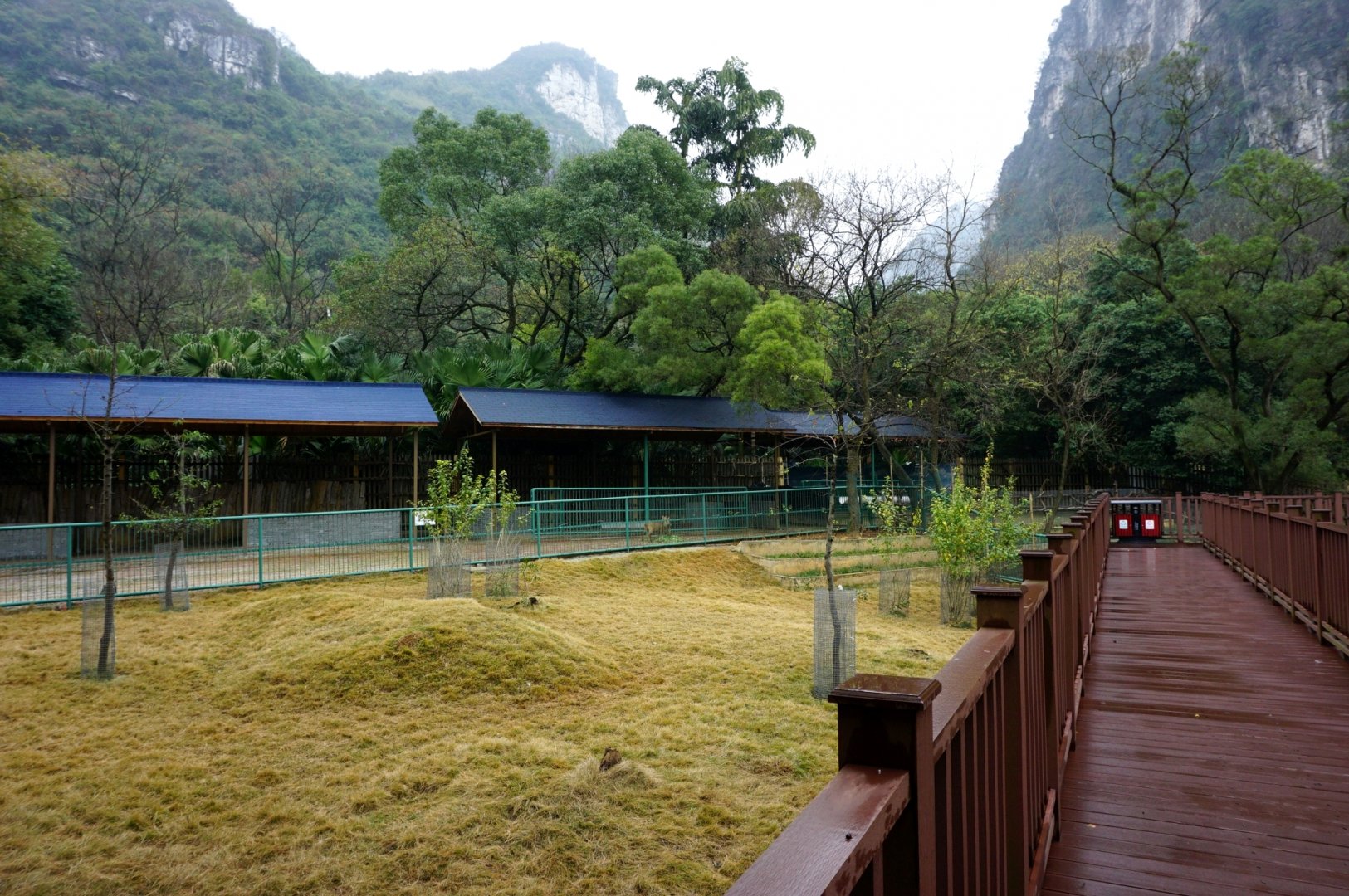 Liuzhou Zoo - water deer exhibit