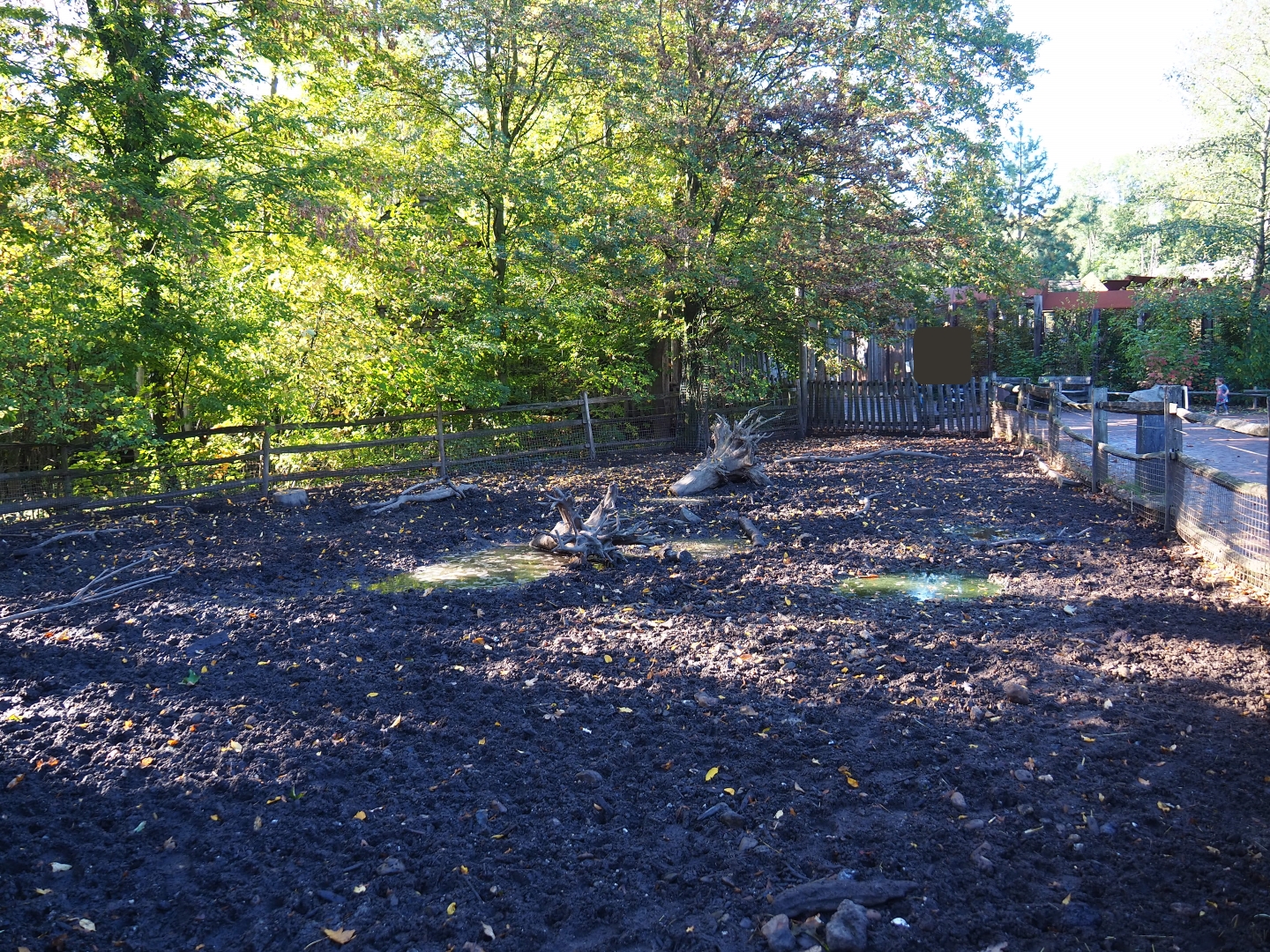 Livar pig pen (Oct 13th, 2018)