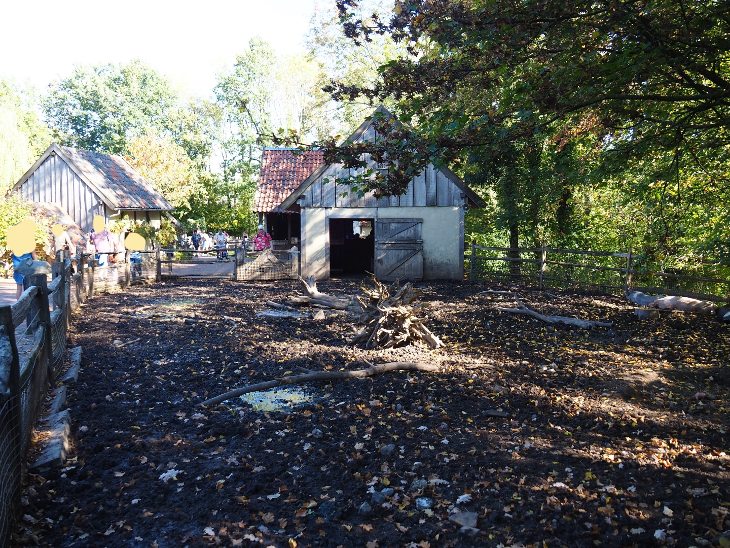 Livar pig pen (Oct 13th, 2018)