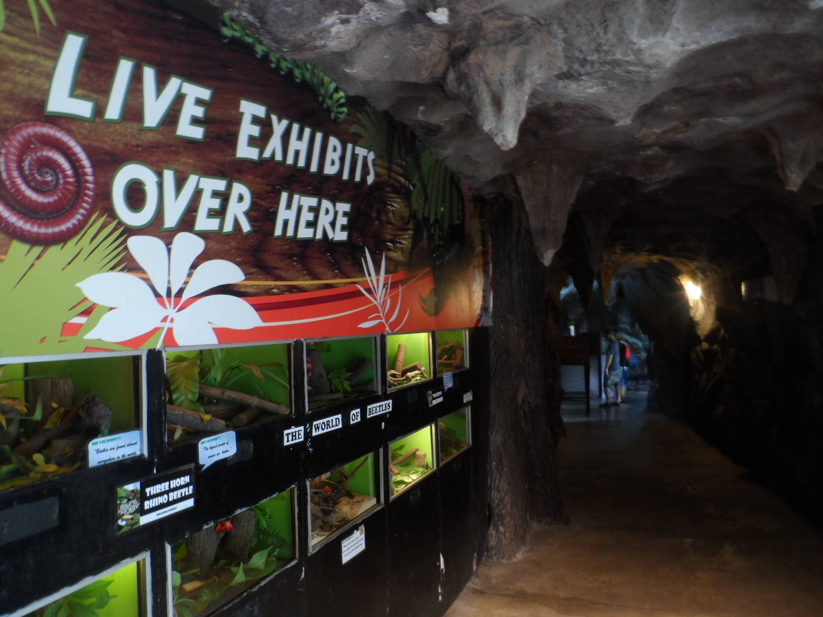 Live Exhibits, Museum Entrance