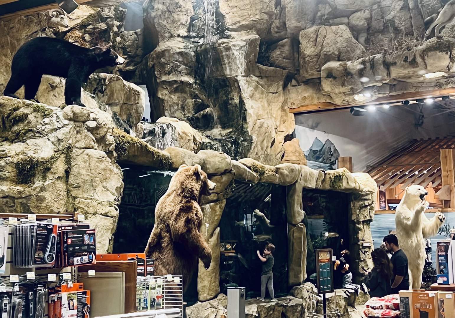 Live Fish and Alaska’s three bears.  Bass-Pro Shop Anchorage