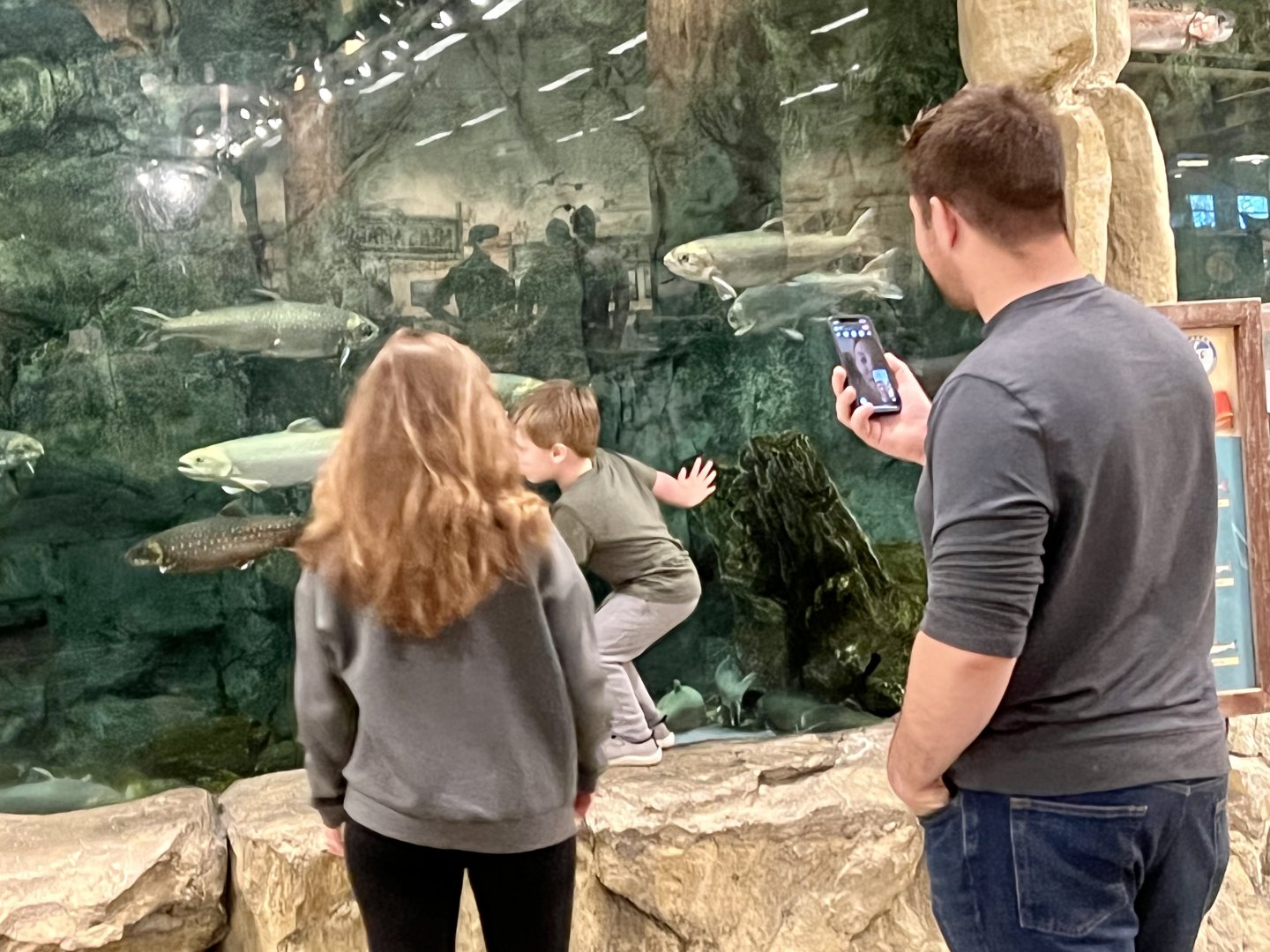 Live Fish Display Bass-Pro Shop Anchorage