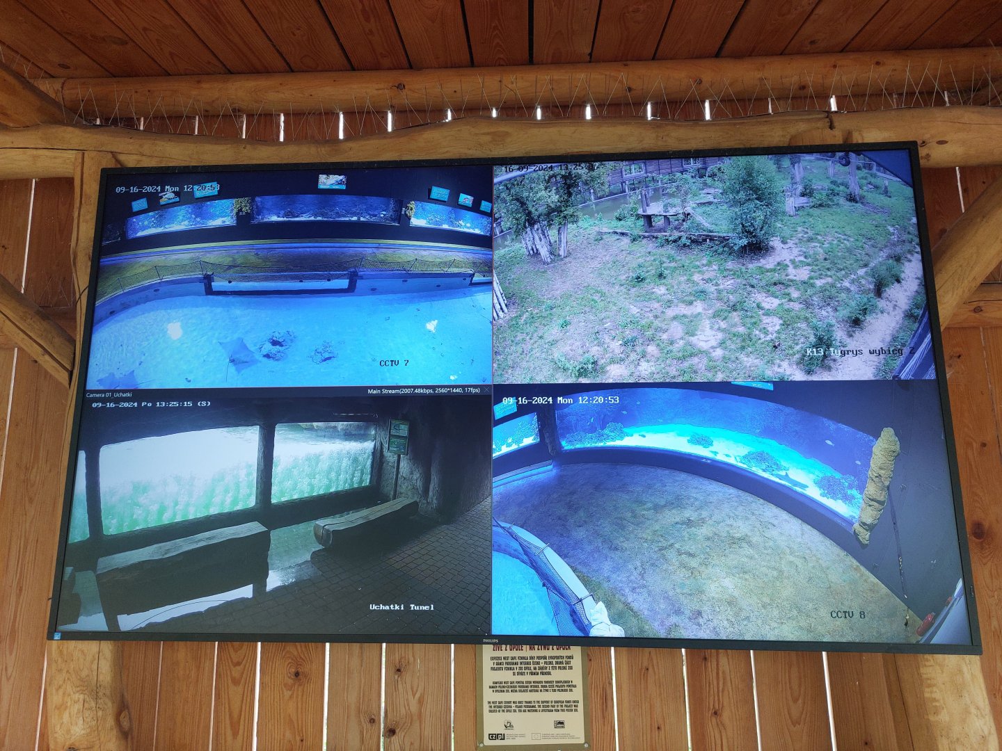 Livestream of Opole Zoo
