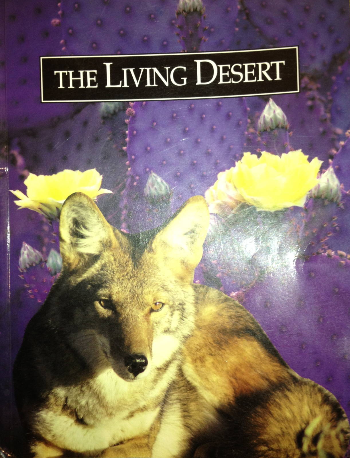 Living Desert Guide Book, written in 1991
