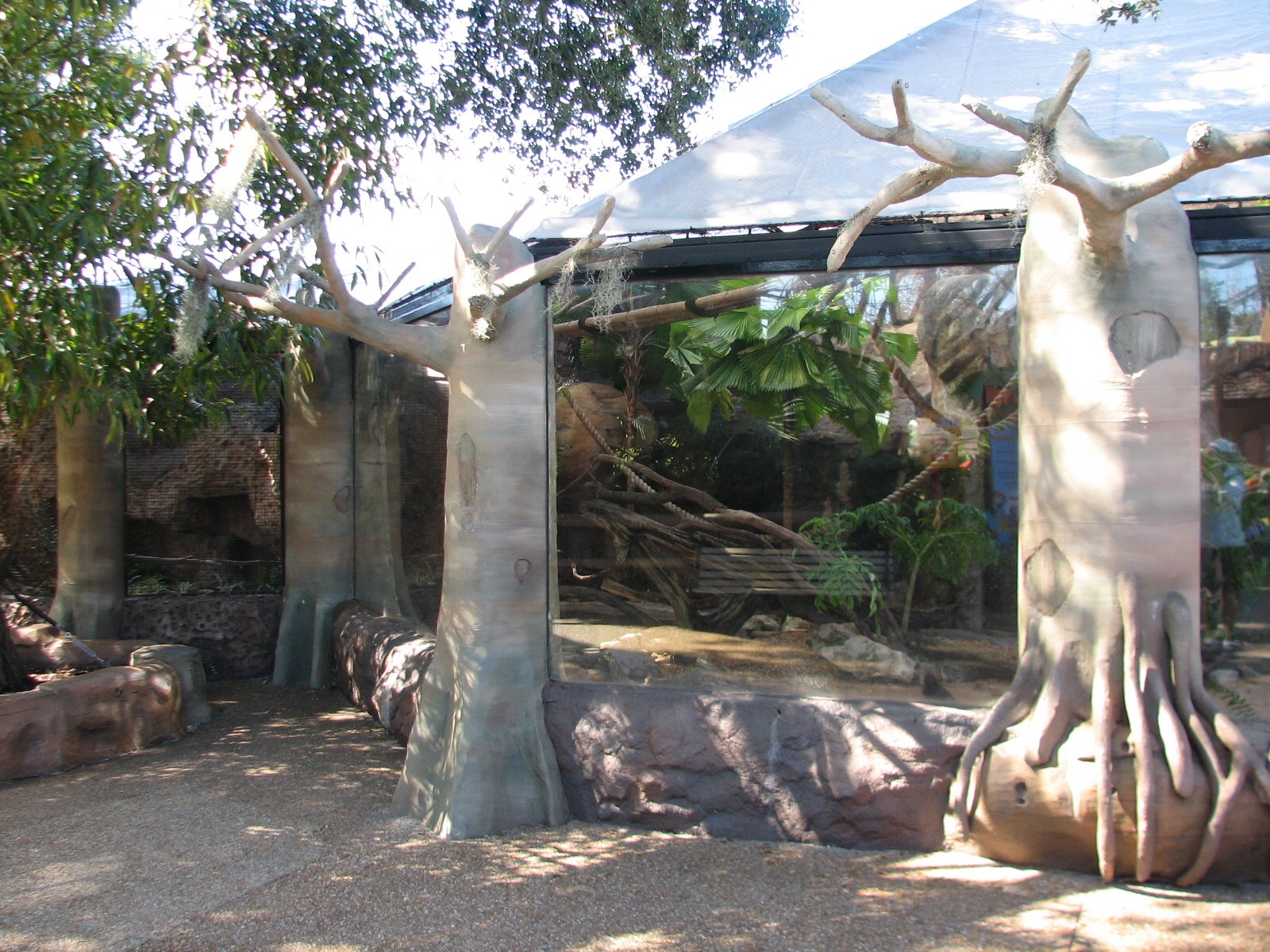 Living Dragons - Iguana and Tortoise Exhibit