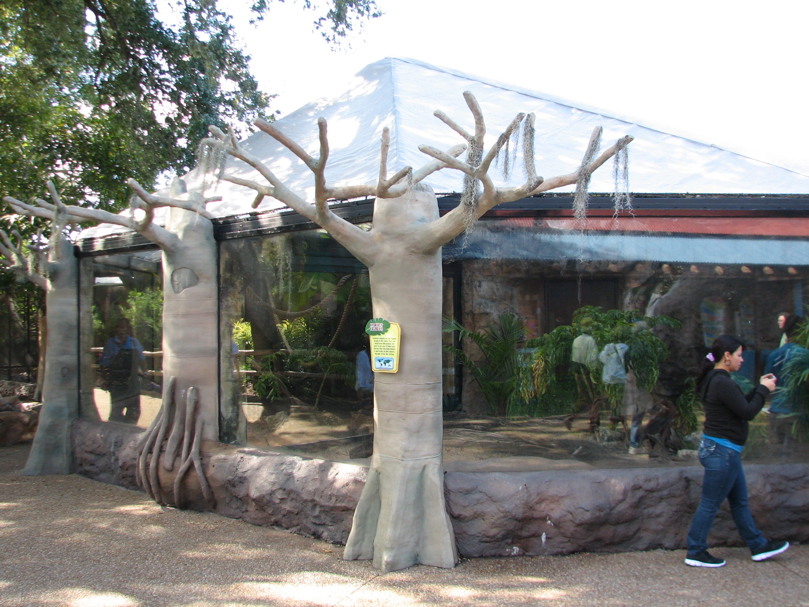 Living Dragons - Komodo Dragon Exhibit
