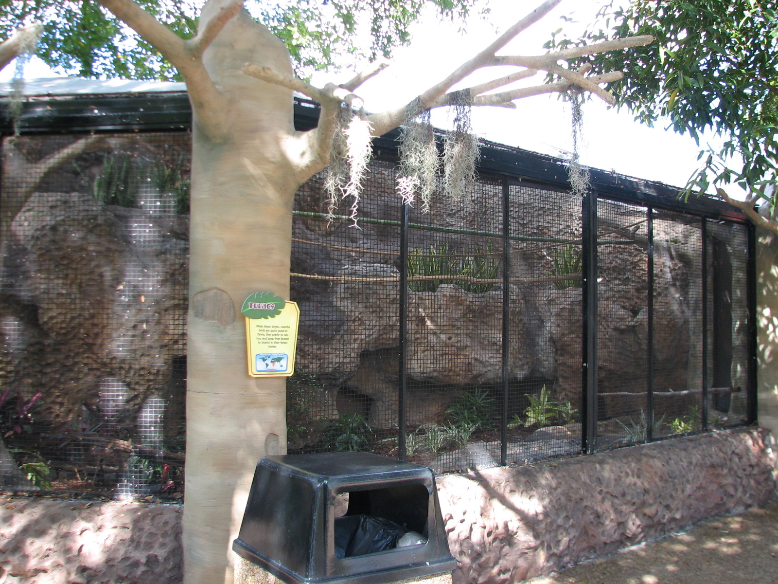 Living Dragons - Turaco Exhibit