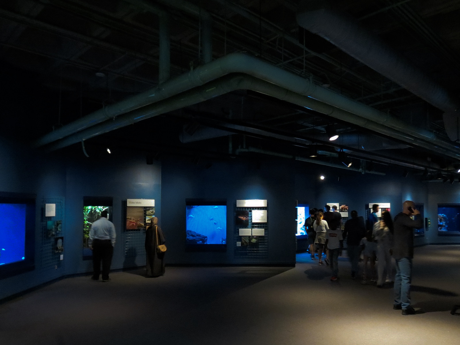 Living In Water - Interior