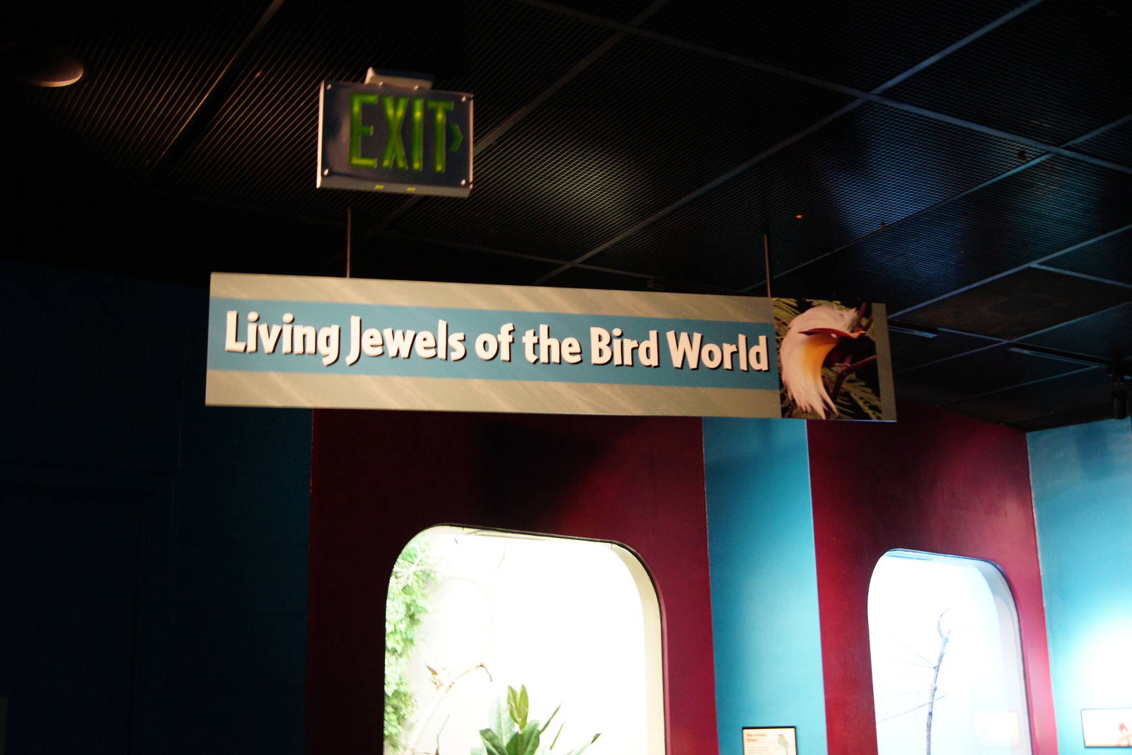 Living Jewels of the Bird World Sign