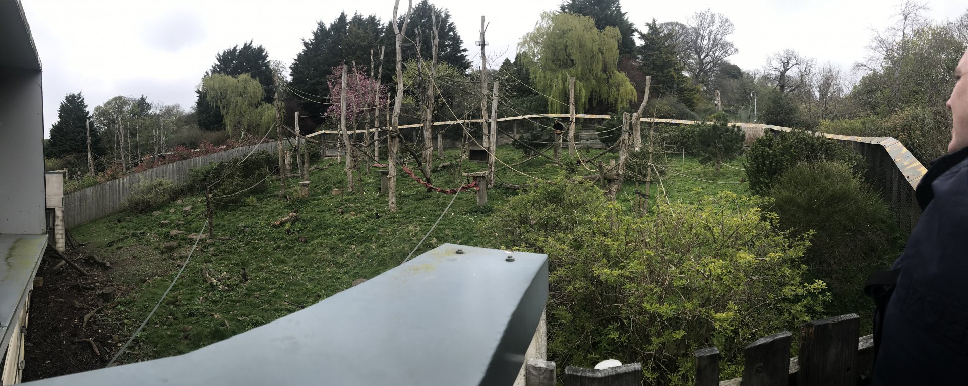 Living links east- Brown capuchin and squirrel monkey enclosure (2)