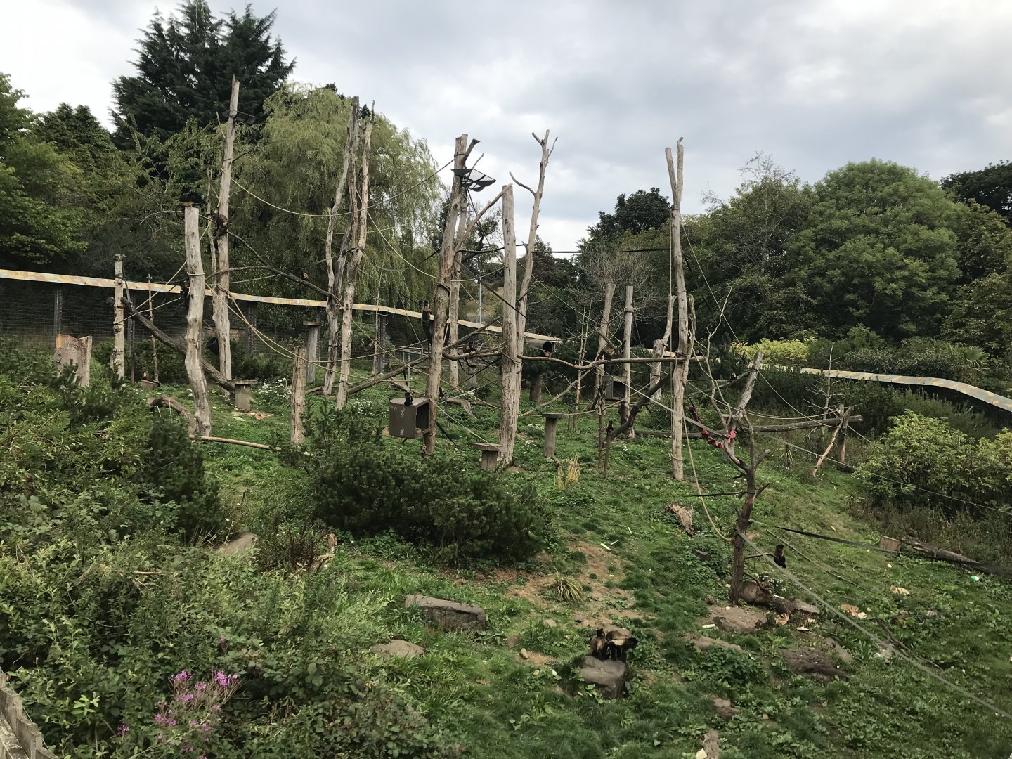 Living links east enclosure