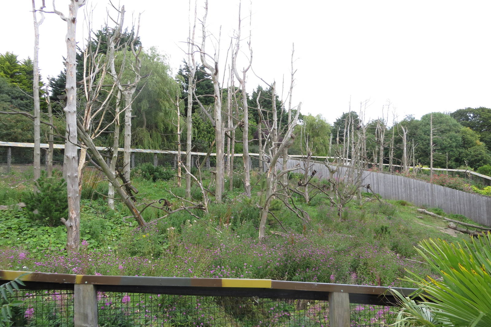 Living Links exhibit 240815