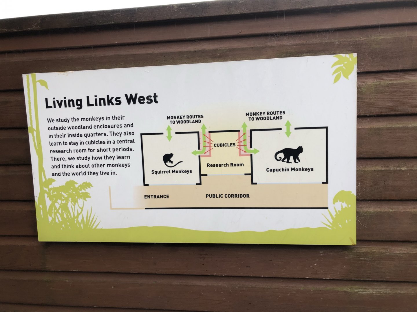 Living Links Monkey House Floor Plan at Edinburgh Zoo (2020)