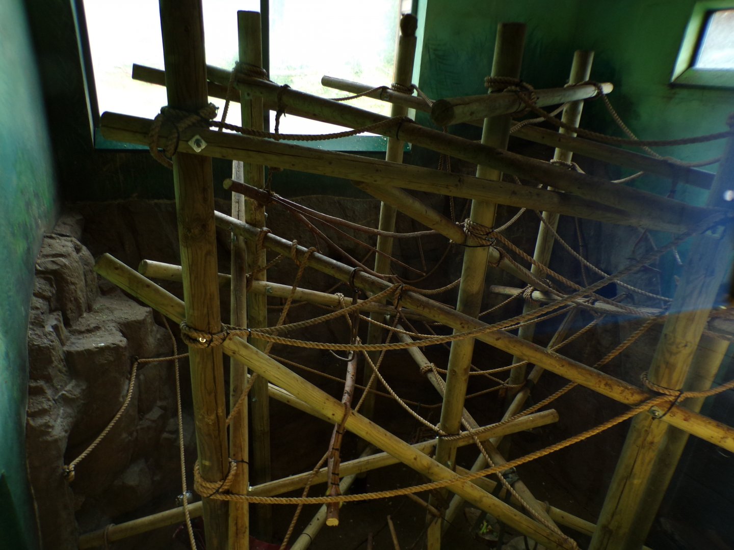 Living links- new climbing frames 18.7.23