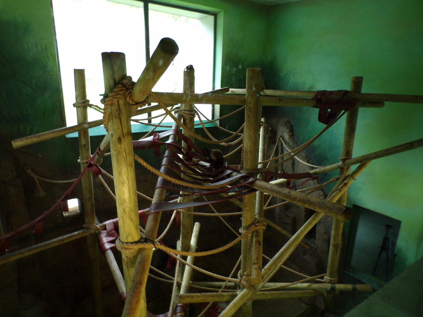 Living Links new climbing frames 18.7.23