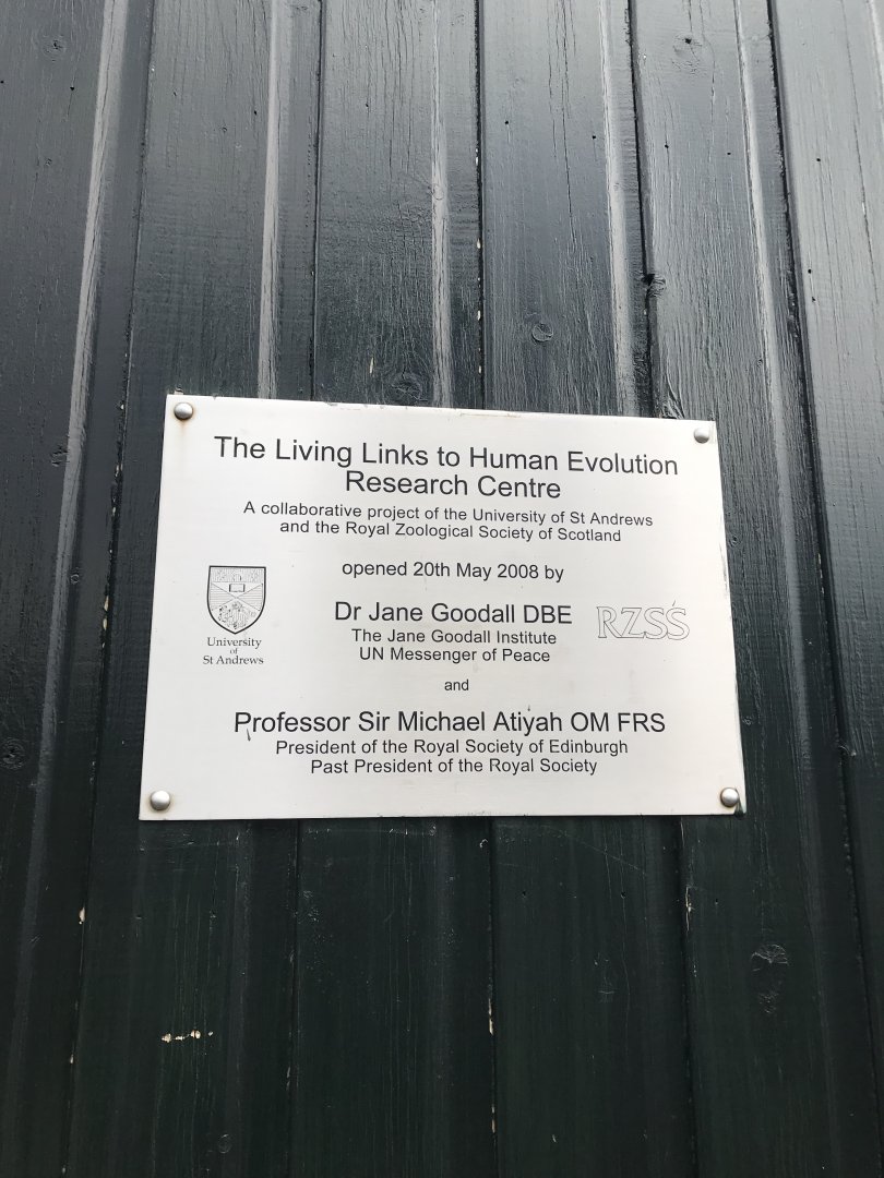Living links plaque