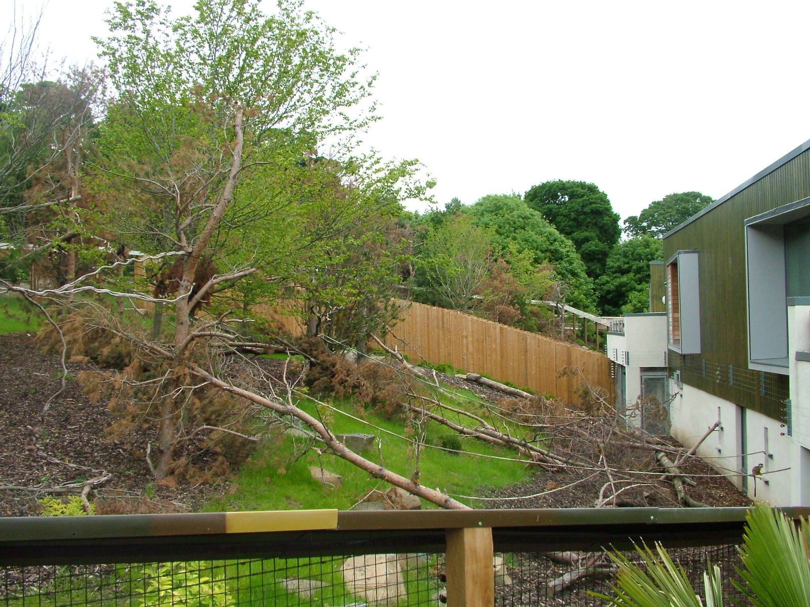 Living Links Primate Research Centre at Edinburgh Zoo 2008