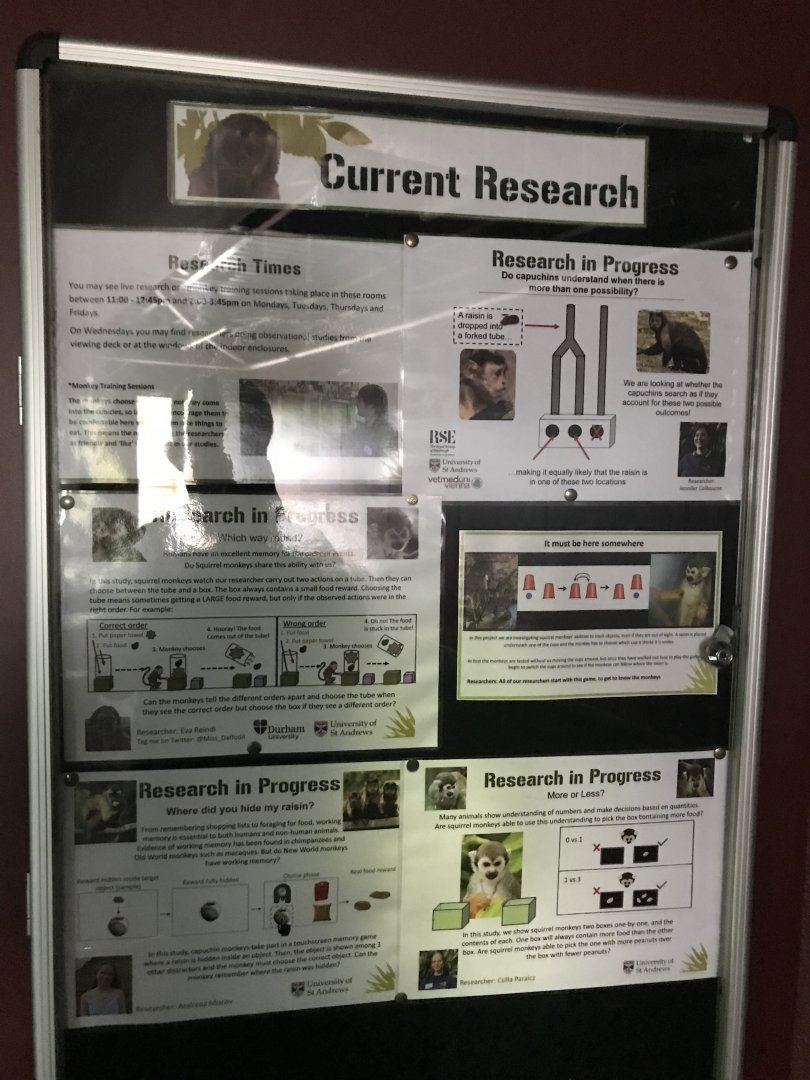 Living links signage