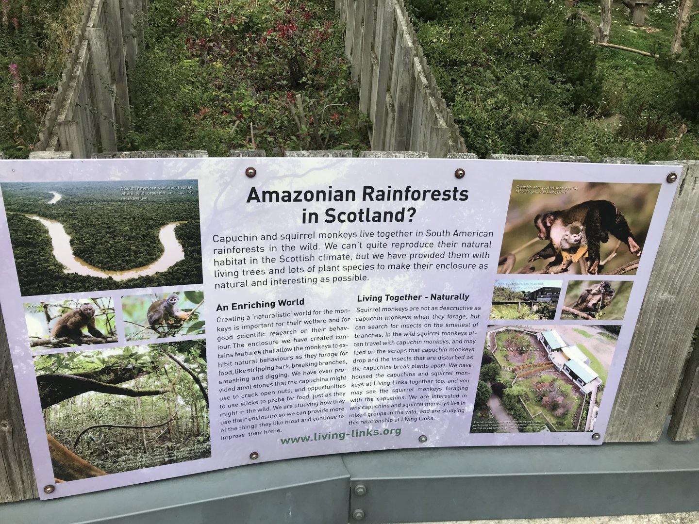 Living links signage