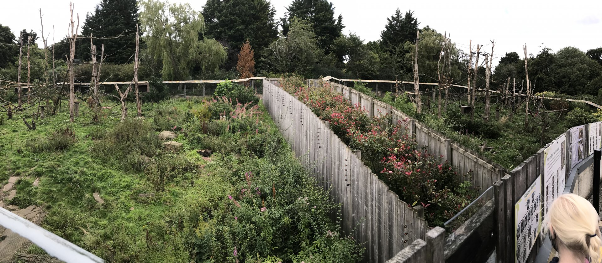 Living links: Squirrel monkey and capuchin enclosure