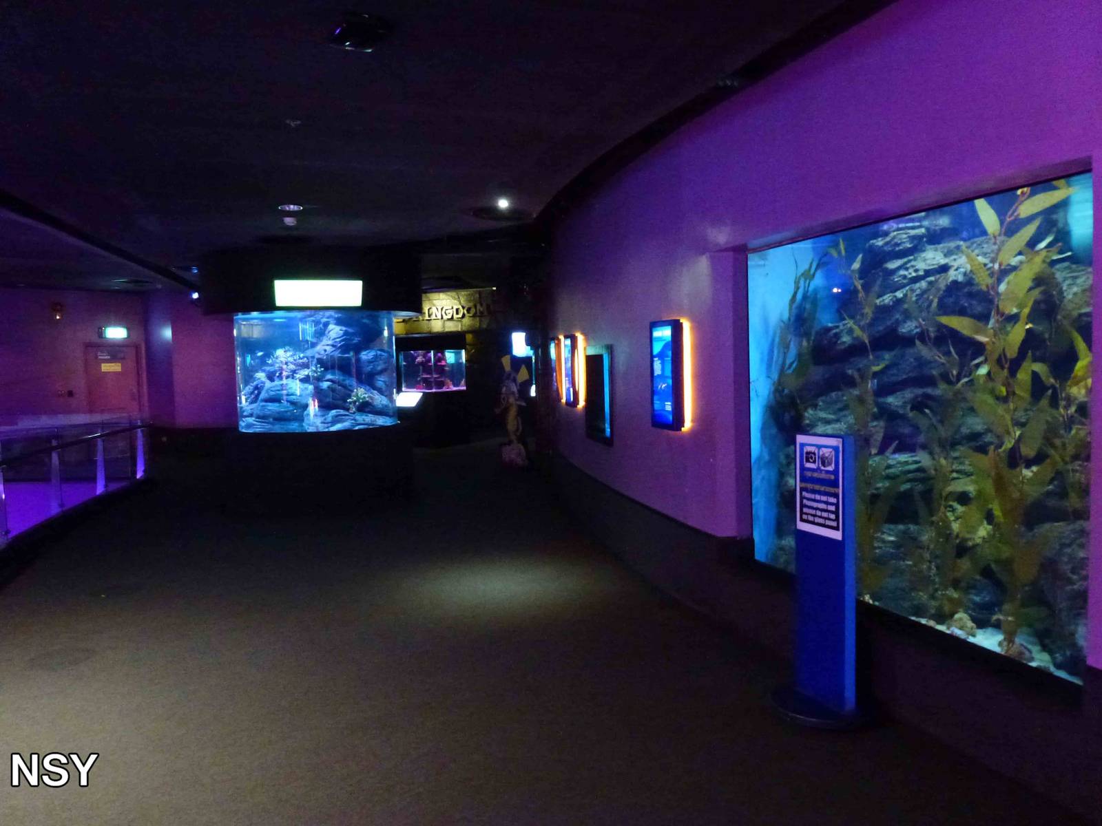 Living ocean, June 2013.