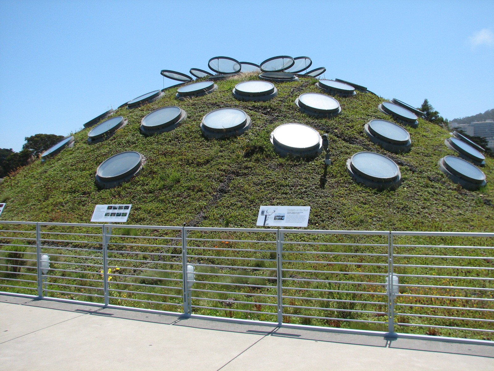 Living Roof Above Osher Rainforest