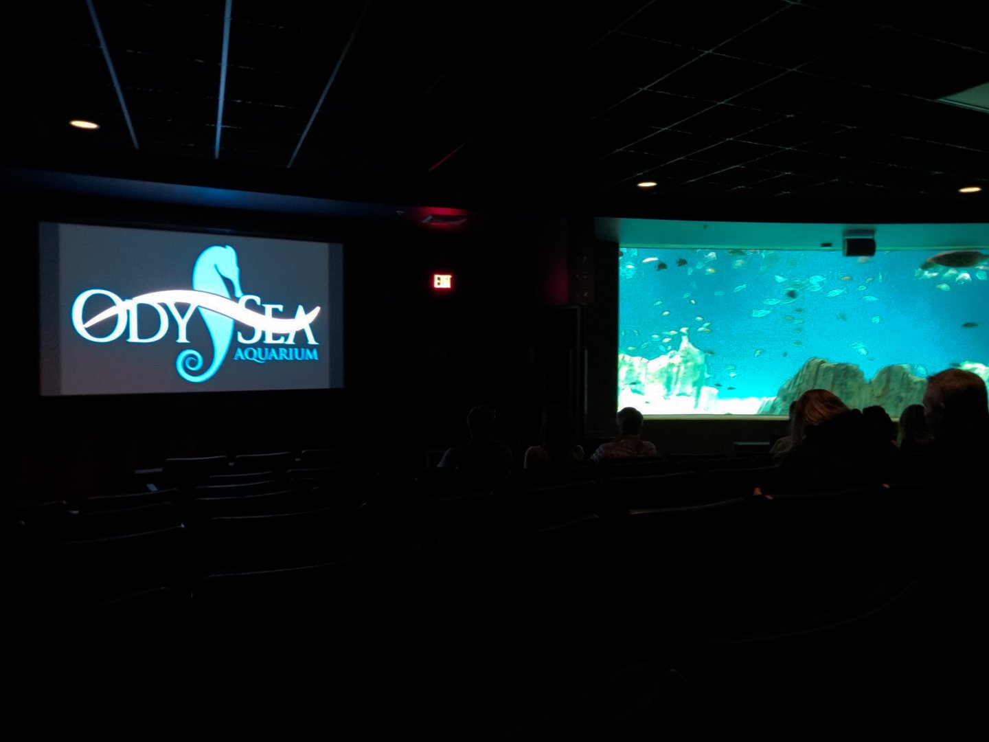 Living Sea Carousel - Theater Rotating Between Exhibits