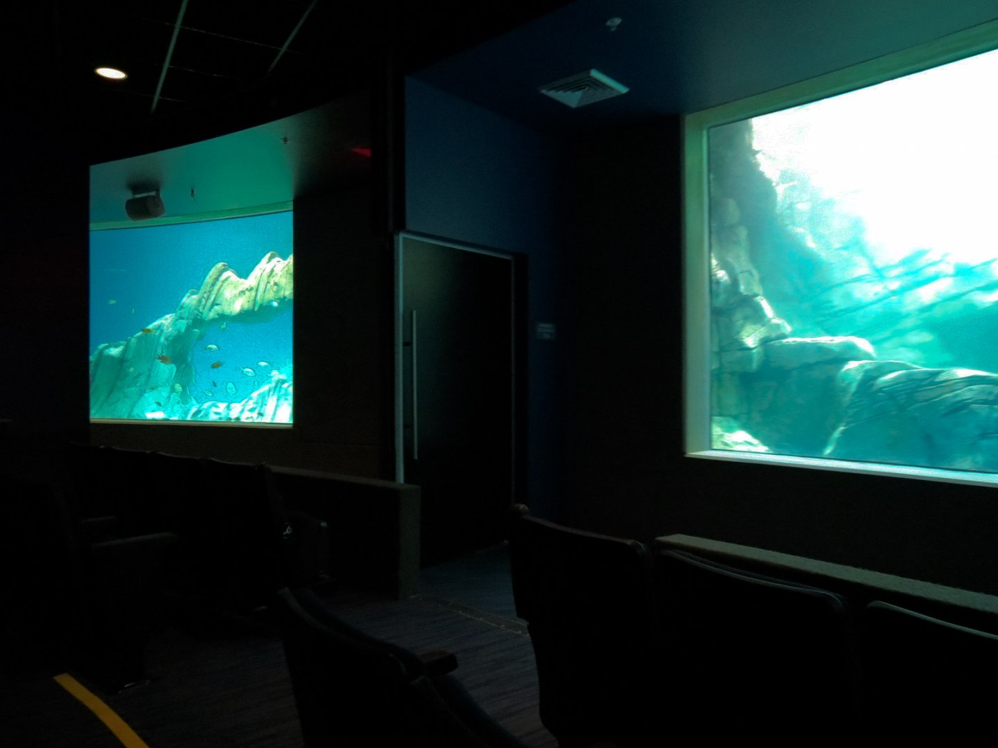 Living Sea Carousel - Theater Rotating Between Exhibits