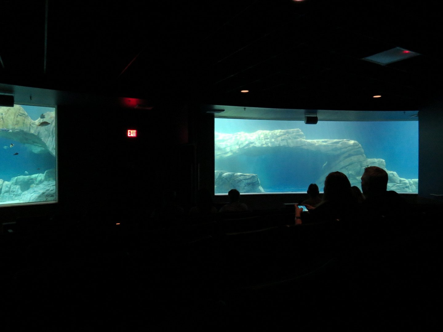 Living Sea Carousel - Theater Rotating Between Exhibits