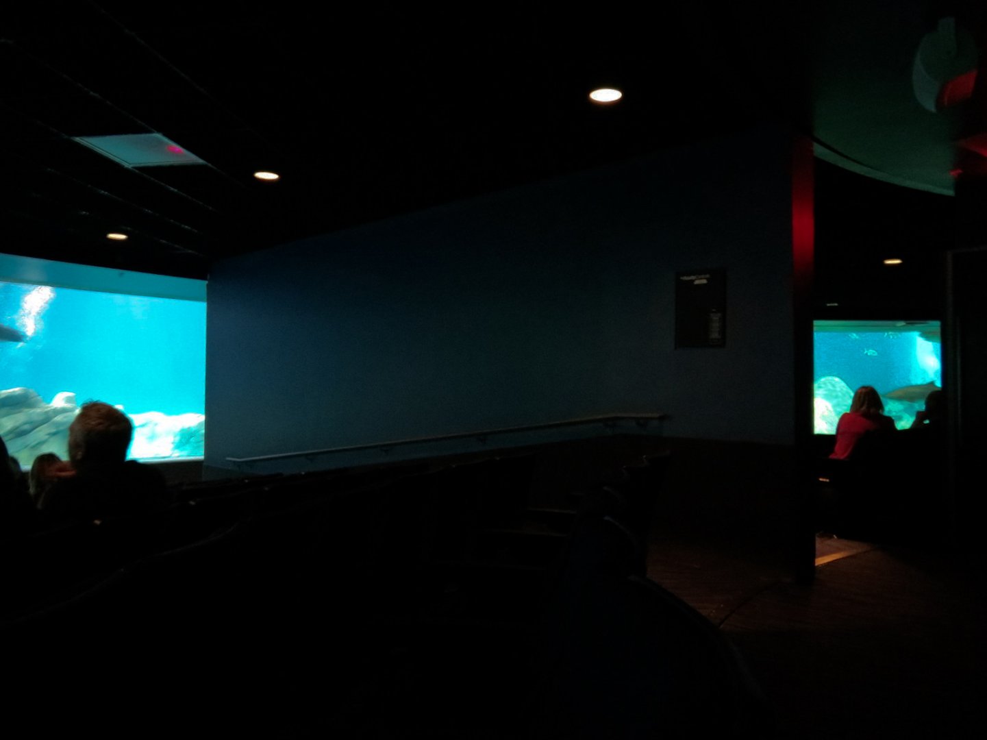 Living Sea Carousel - Theater Rotating Between Exhibits