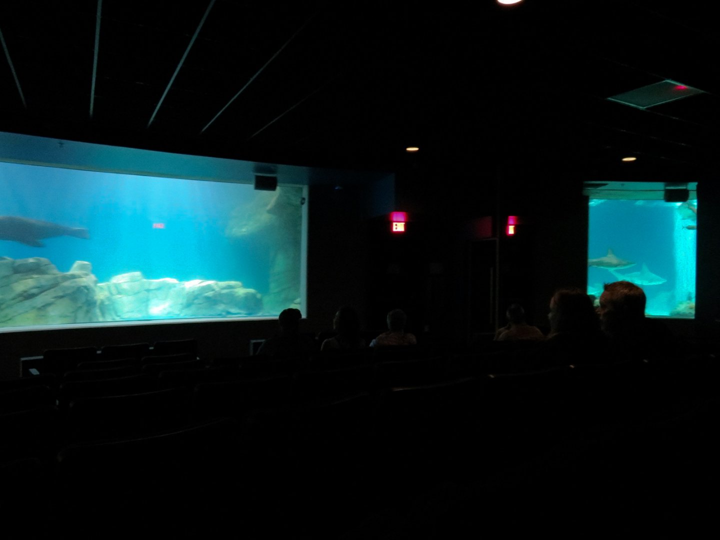 Living Sea Carousel - Theater Rotating Between Exhibits