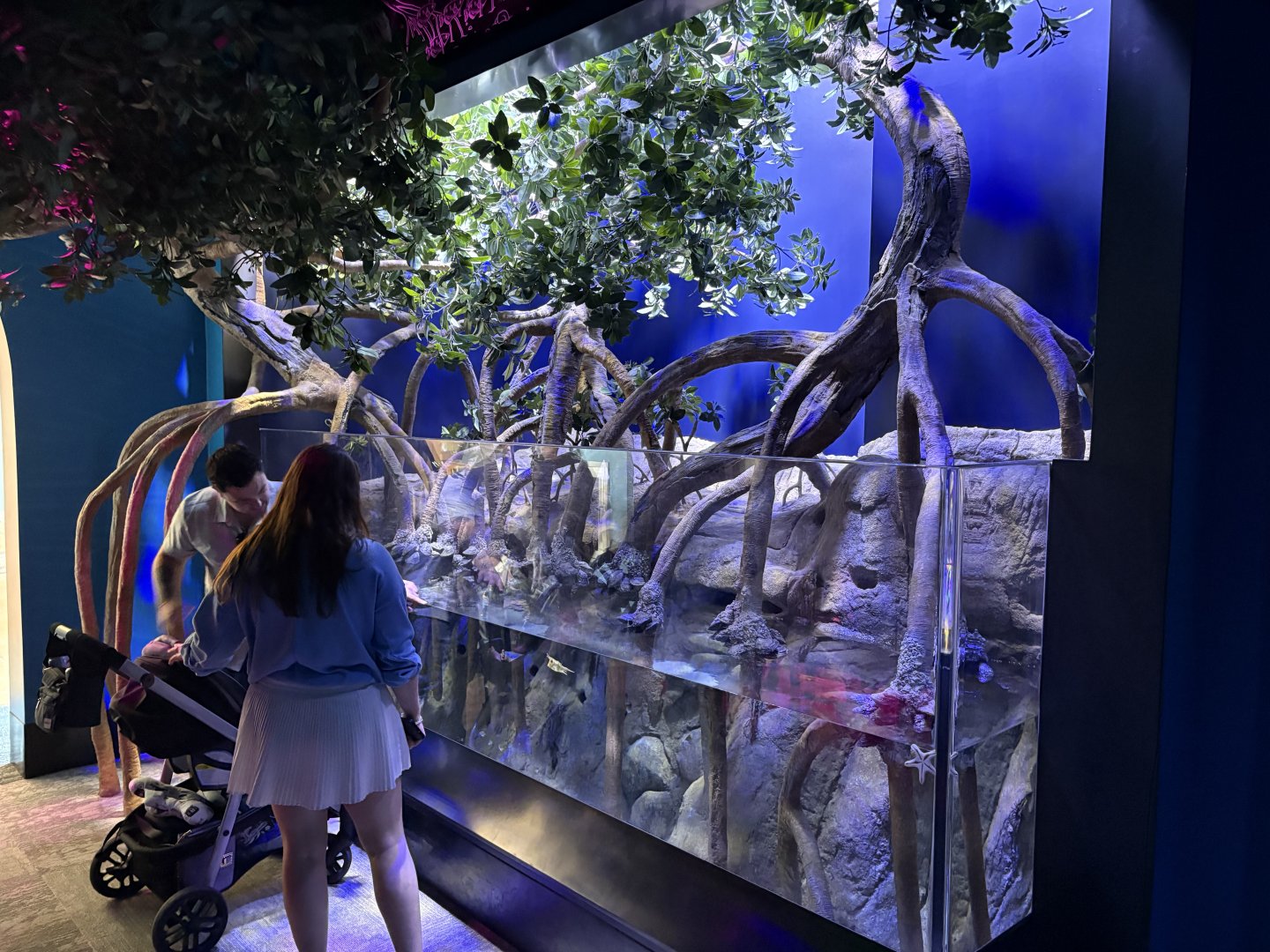 Living Seas Gallery - Mangroves