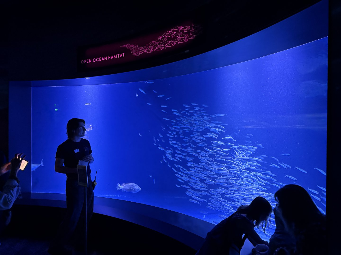 Living Seas Gallery - Open Ocean